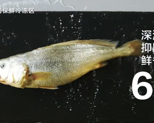 海尔磁控全空间保鲜冰箱：冻鱼60天，海里一样鲜