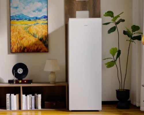 无霜、立式、风冷均第一！海尔冷柜双11领跑行业