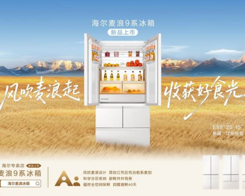 海尔冰箱全域ToC模式造就多个爆款